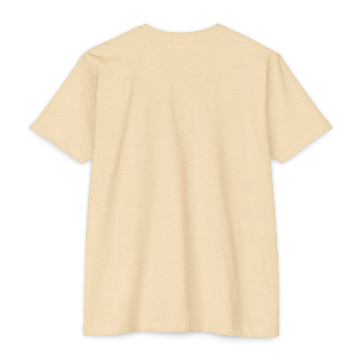 No Shake No Fear T-Shirt — Motivational Casual Tee