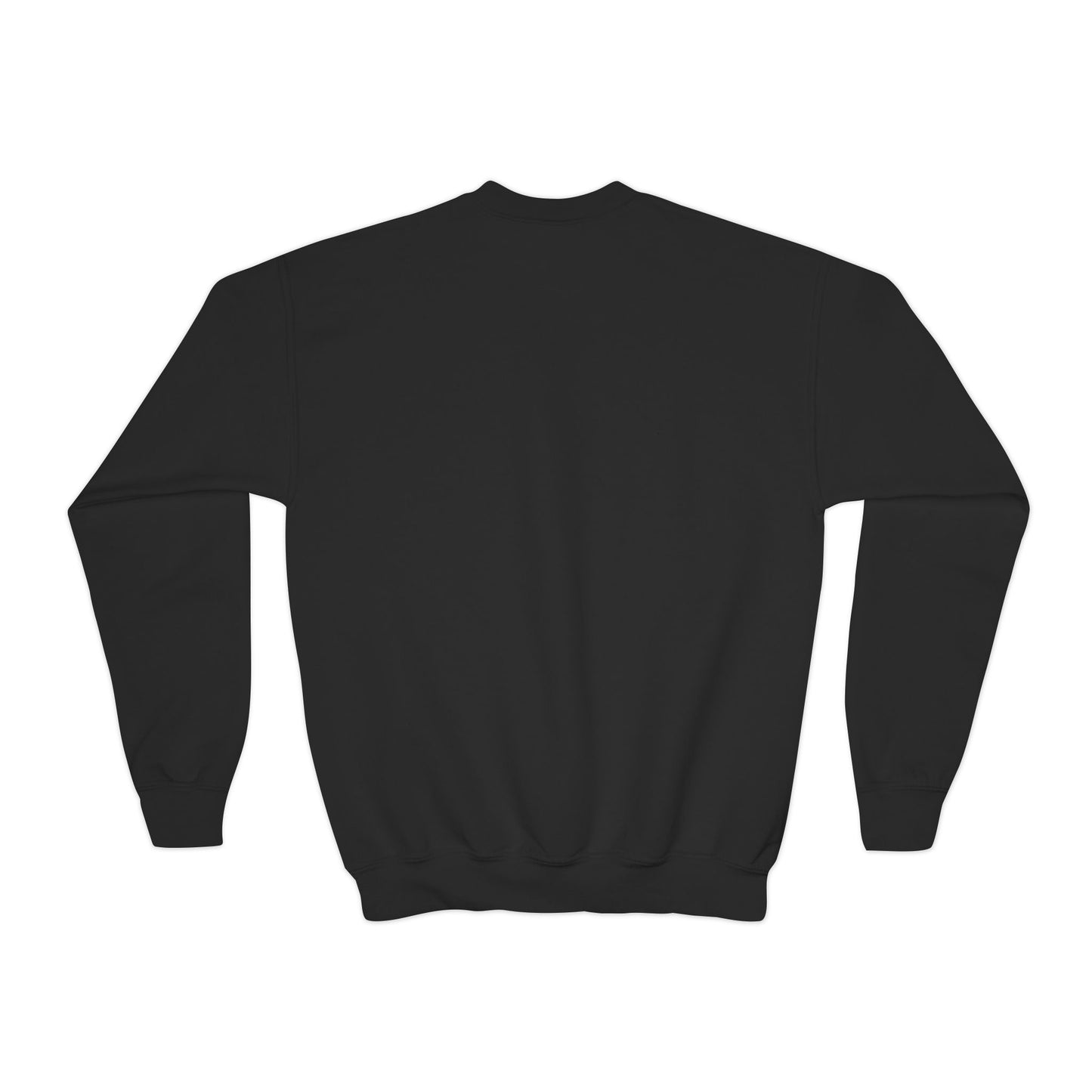 Youth Sweatshirt — Cute Cartoon Kawaii Cats & Bunny Graphic