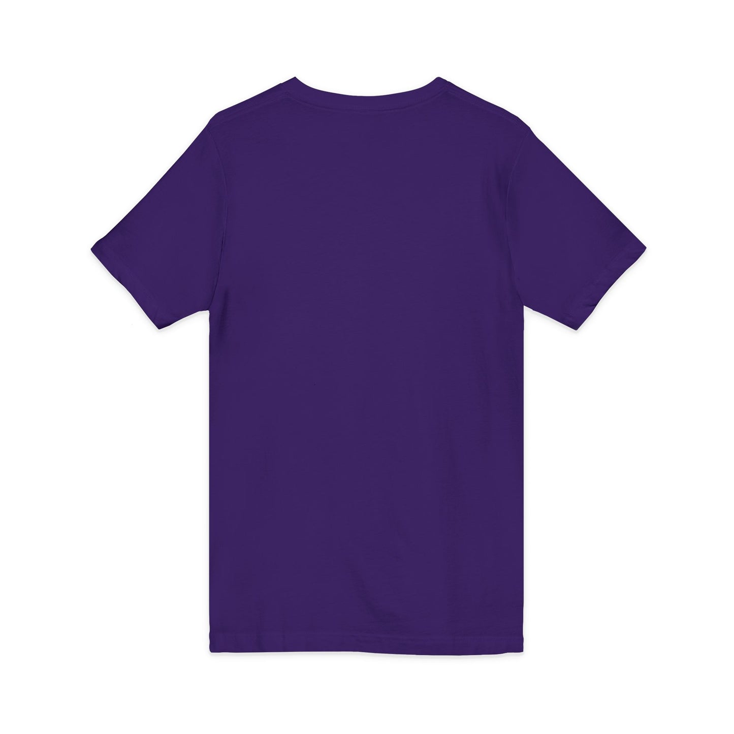 One CEO in the Building V-Neck Tee — Motivational CEO Graphic Shirt