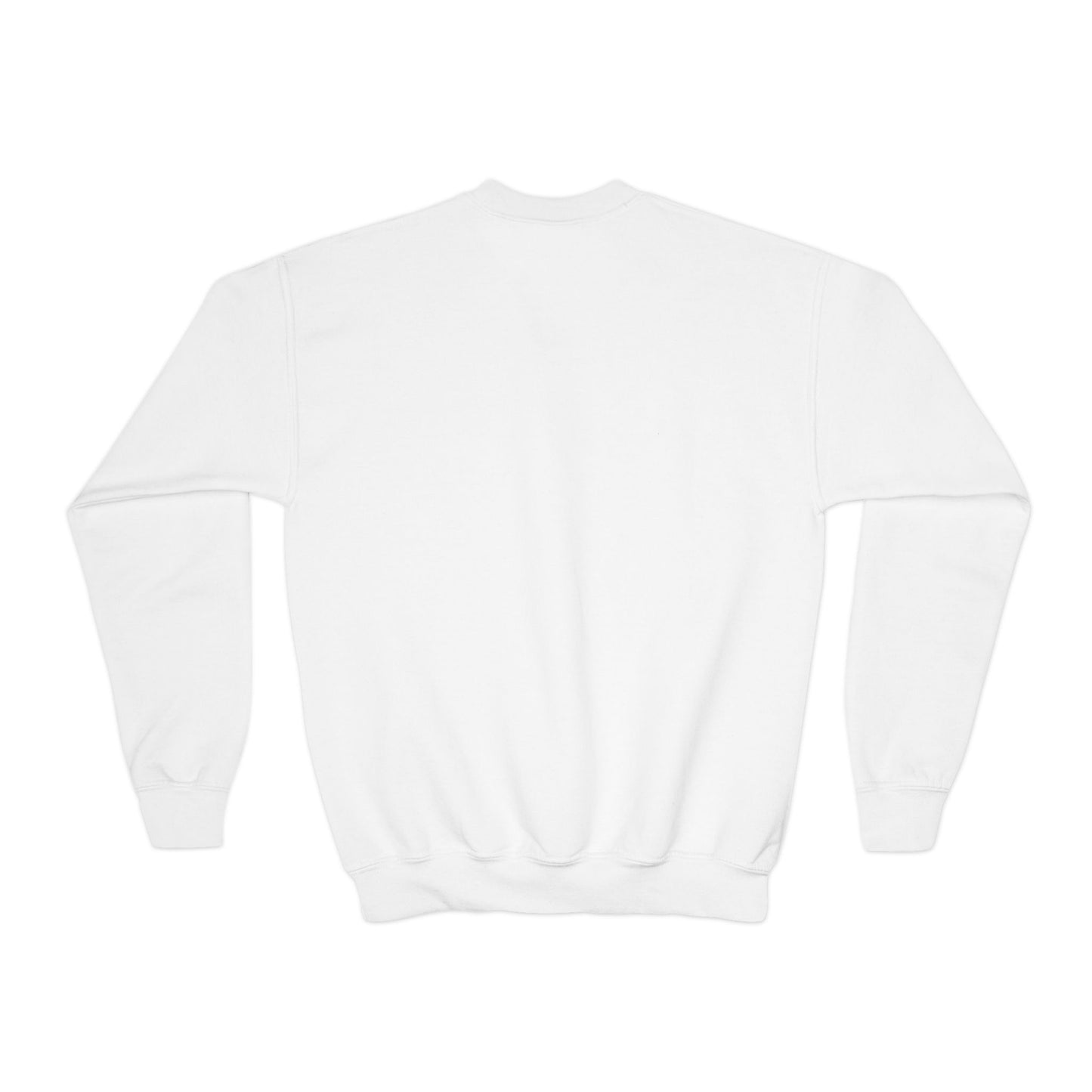 Youth Sweatshirt — Cute Cartoon Kawaii Cats & Bunny Graphic