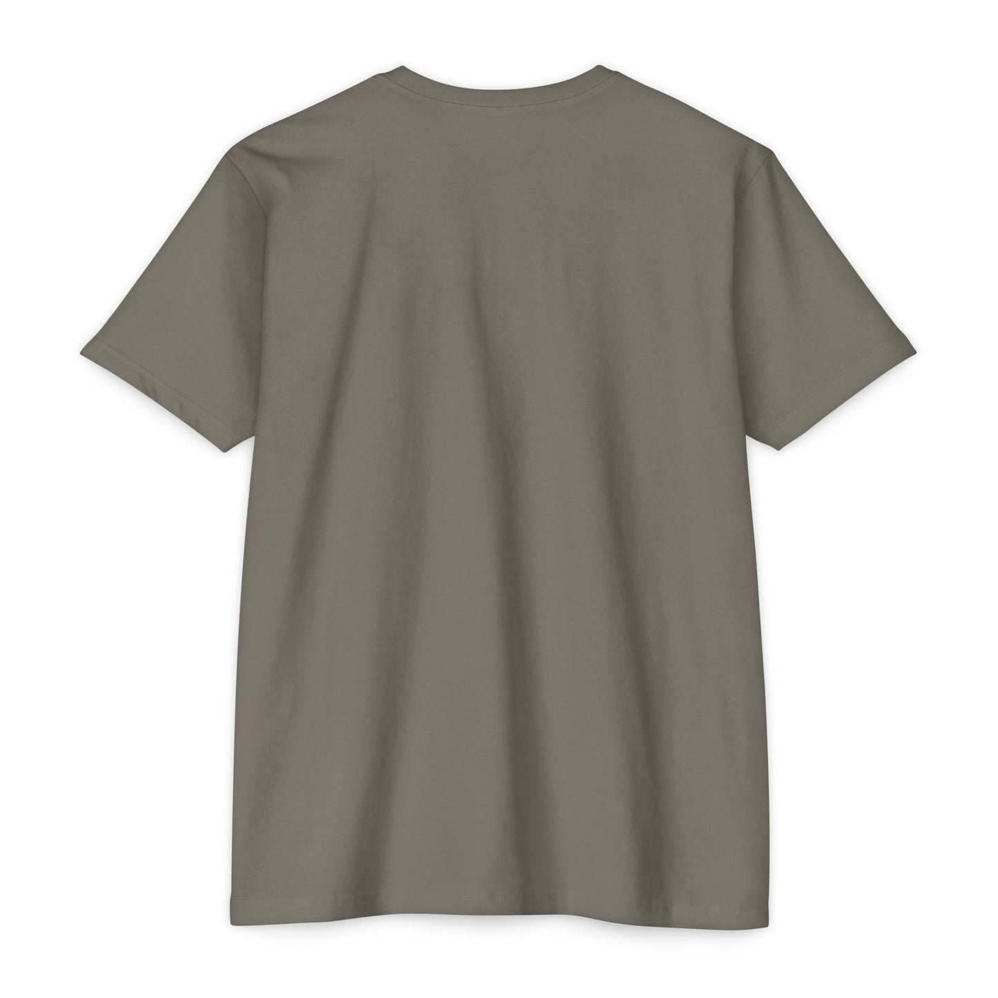 No Shake No Fear T-Shirt — Motivational Casual Tee