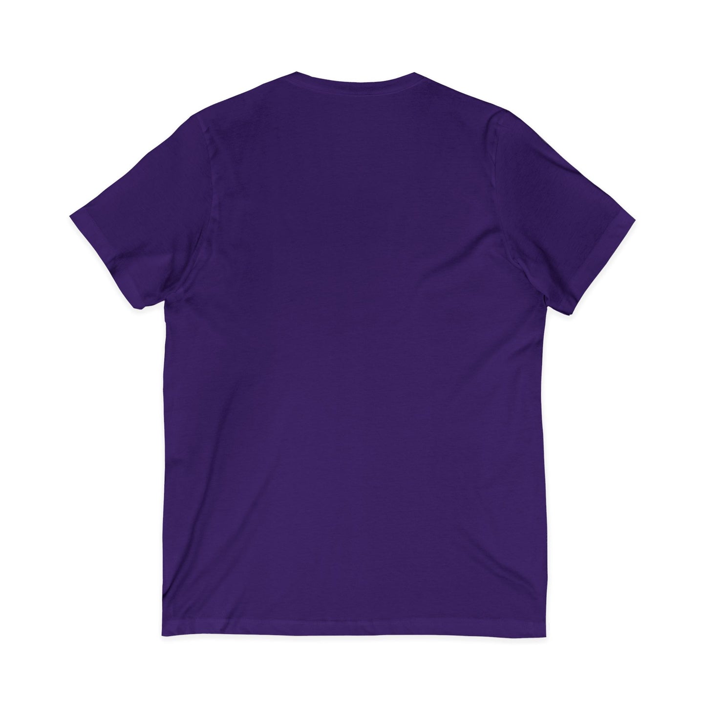One CEO in the Building V-Neck Tee — Motivational CEO Graphic Shirt