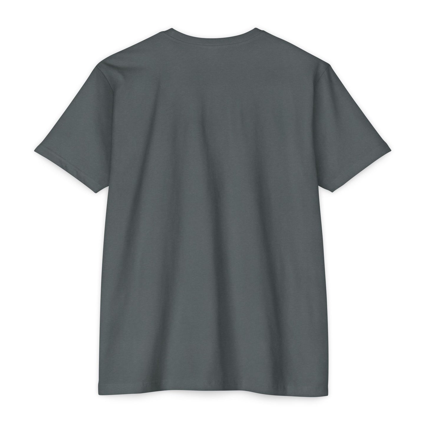 #One CEO In The Building Graphic T-Shirt — Kid/Youth Entrepreneur Tee