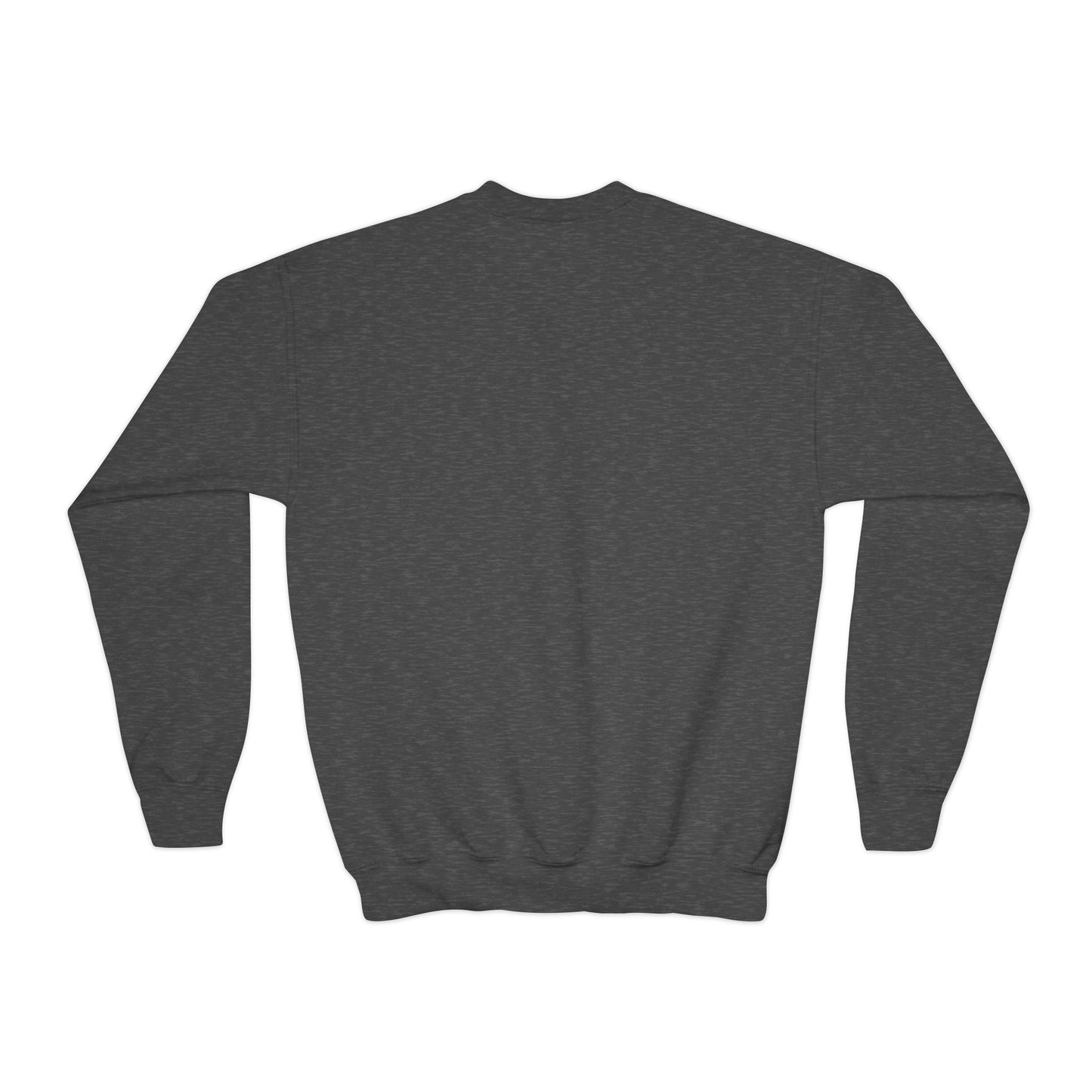 Youth Sweatshirt — Cute Cartoon Kawaii Cats & Bunny Graphic